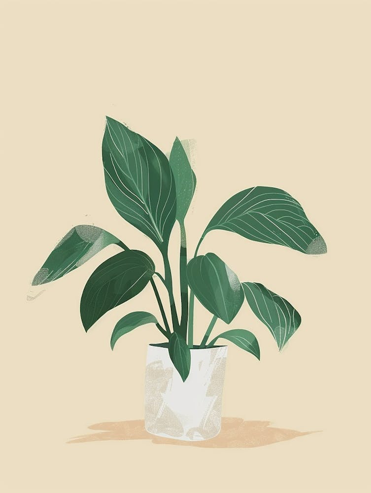 Hosta Plant Minimalist Illustration 7