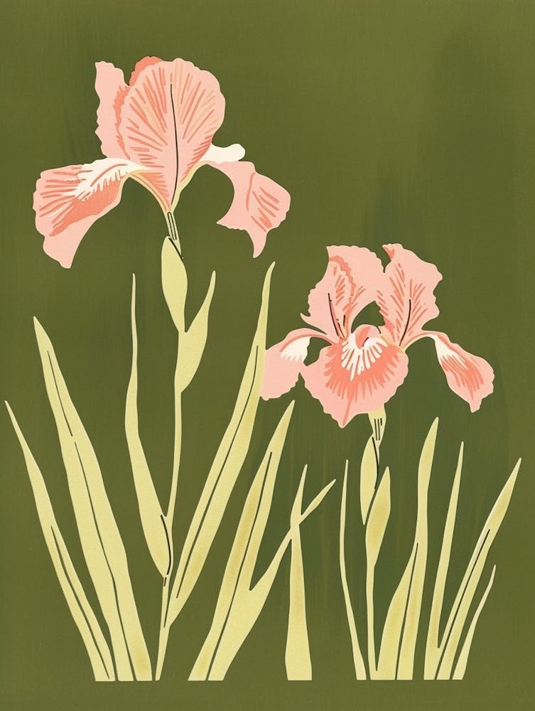 Pink & Green Iris 1