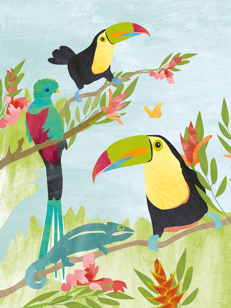 Toucans et Quetzal dans la Jungle