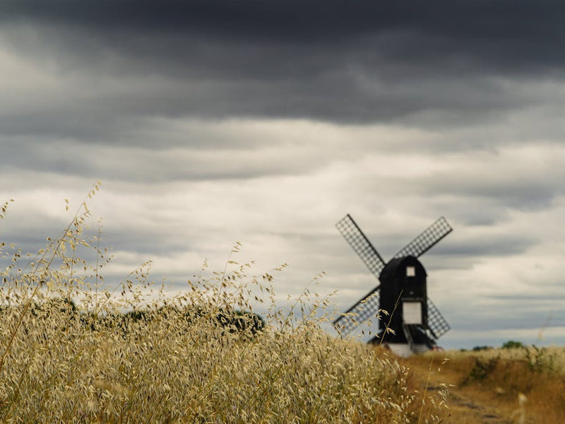 Windmill In The Field