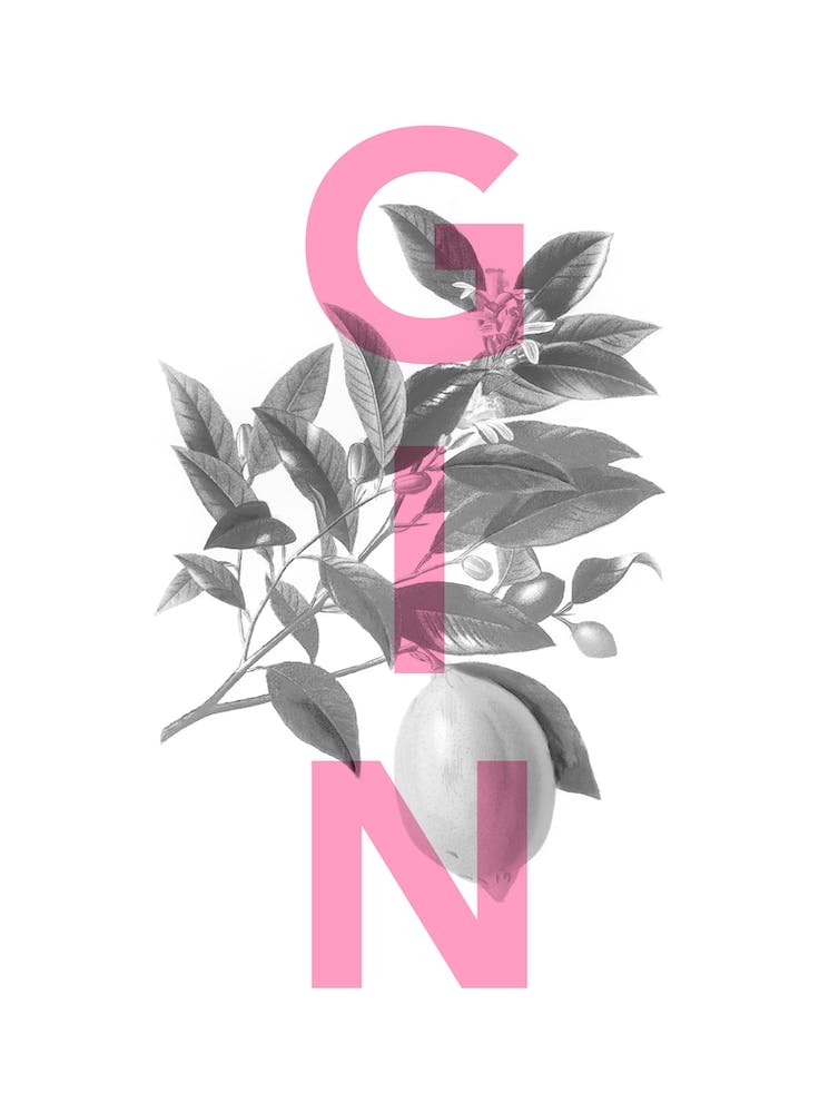 Gin and lemon typography
