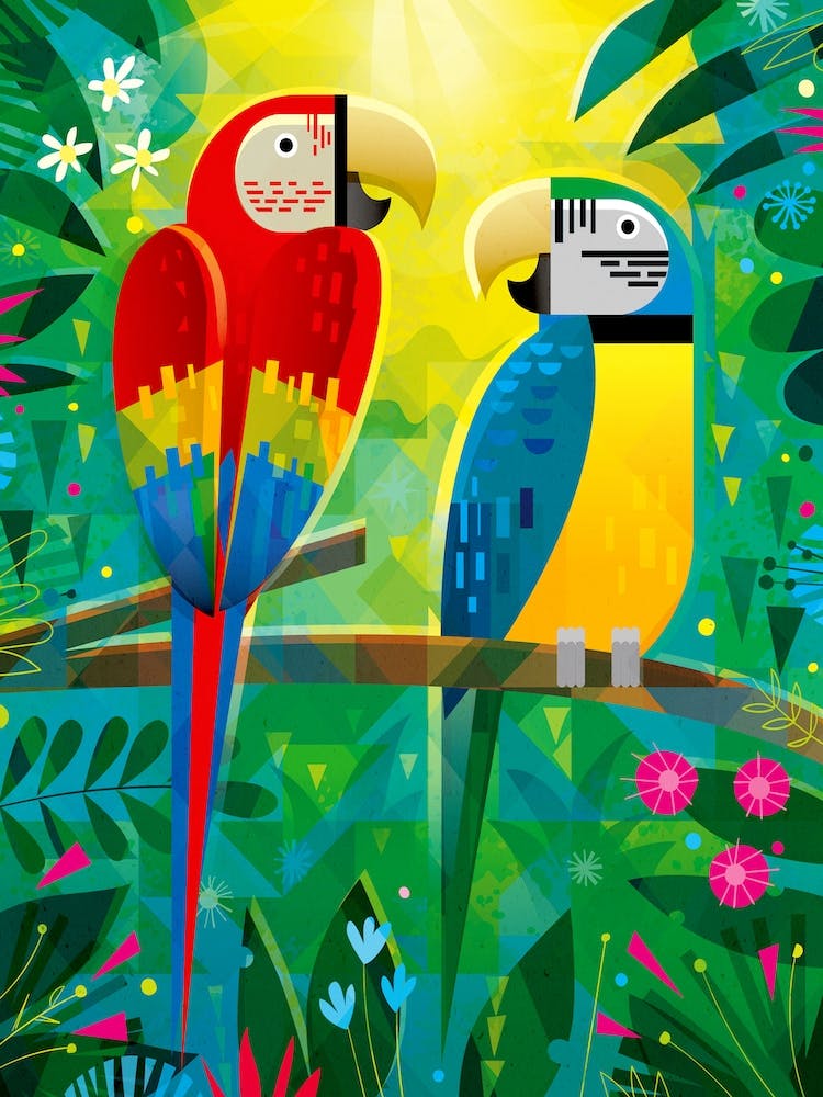 Macaws