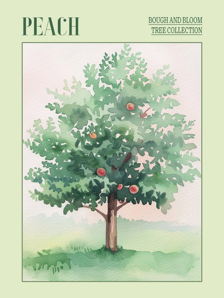 Peach Tree Atmospheric Watercolour Painting 4 Poster