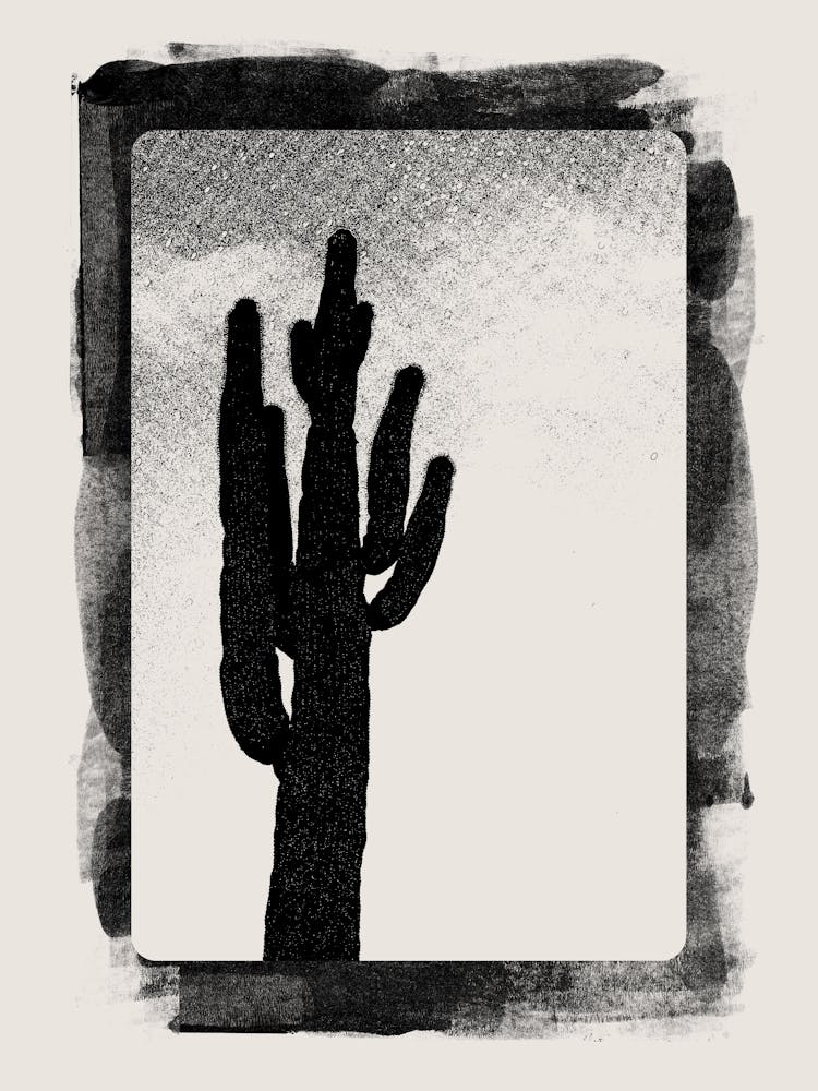 Southwest Art Set, Desert, y2k, Cactus Black 1