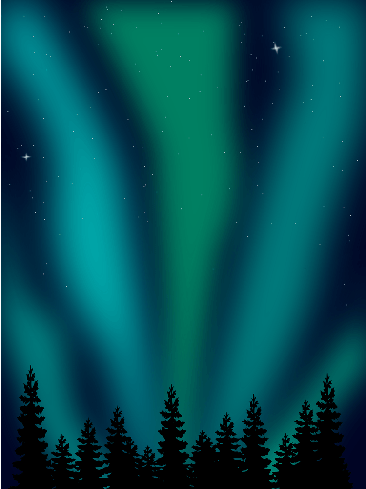 Cropped Auroraphonecase