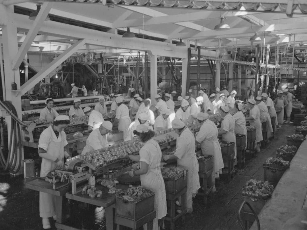 Packing Salmon Into Cans At The Columbia River Packing Association, Astoria, Oregon von Russell Lee