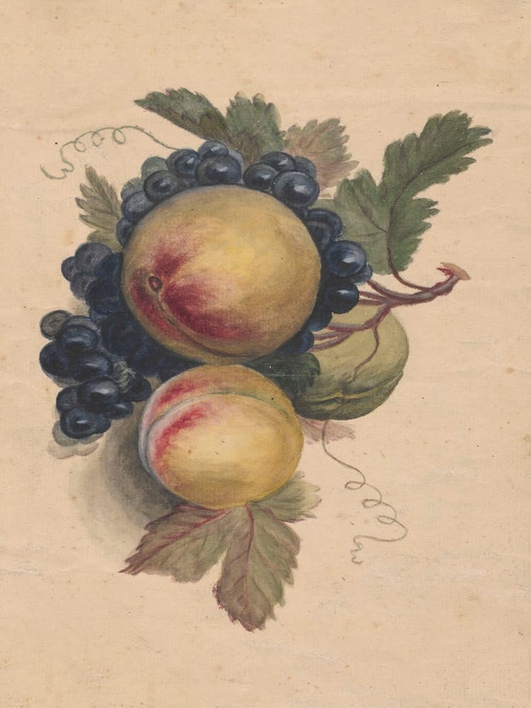 Peaches And Grapes 1
