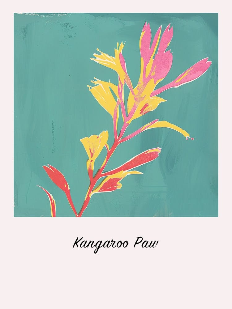 Kangaroo Paw Flower 2 Square Flower Illustration Poster