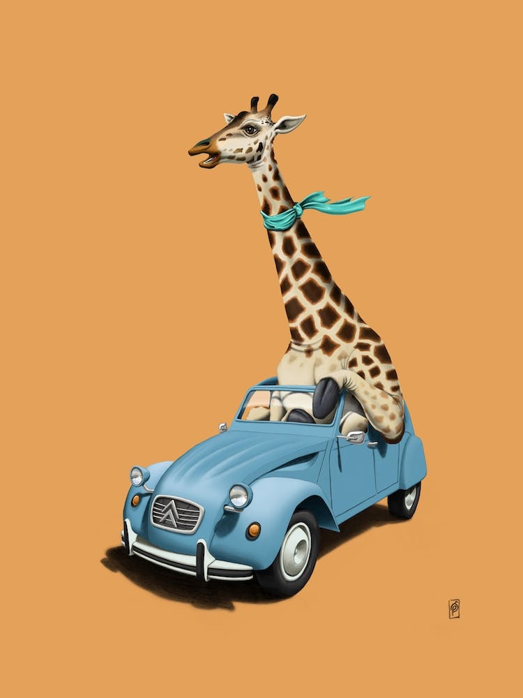 Riding High! (Colour)