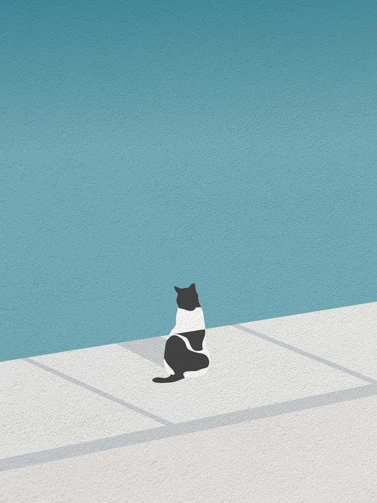 Minimal art Cat Sitting By The Pool