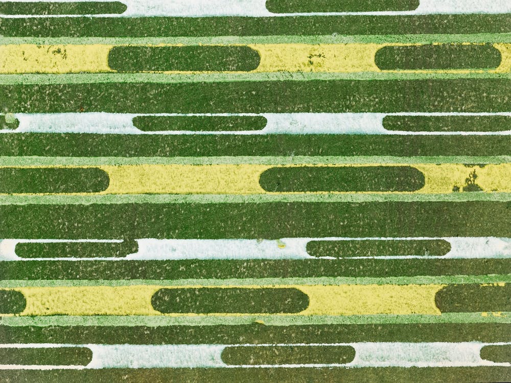 Vintage Ukiyo-e Woodblock Print Of Japanese Textile, Shima Shima, Furuya Korin (42)