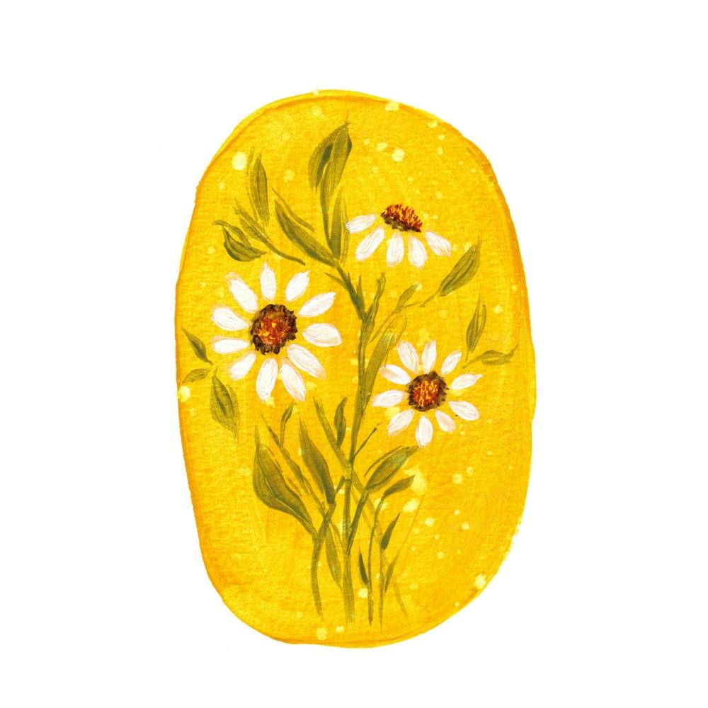 Daisies