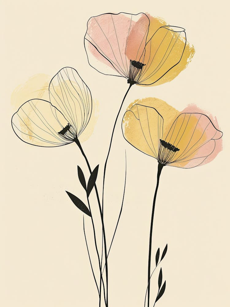 Boulder Flower Market Boho Minimalist Style