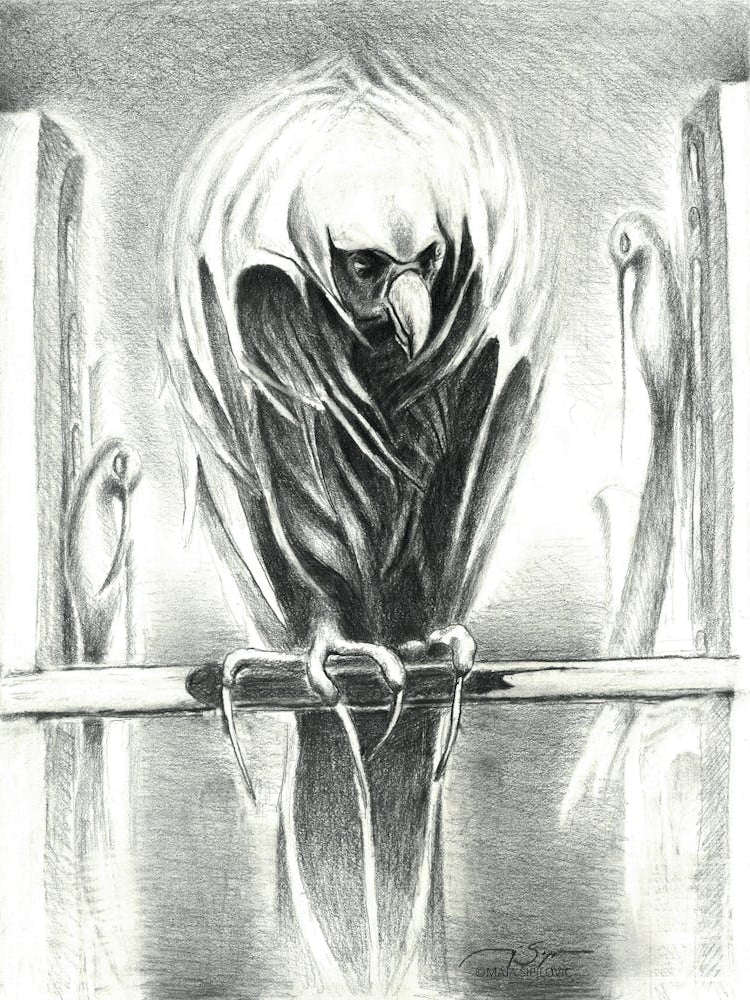 Last Prey, Graphite Drawing on Paper