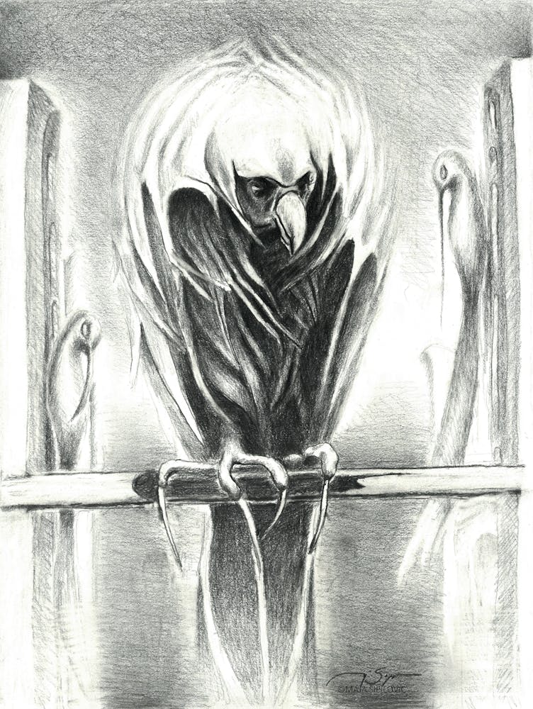 Last Prey, Graphite Drawing on Paper