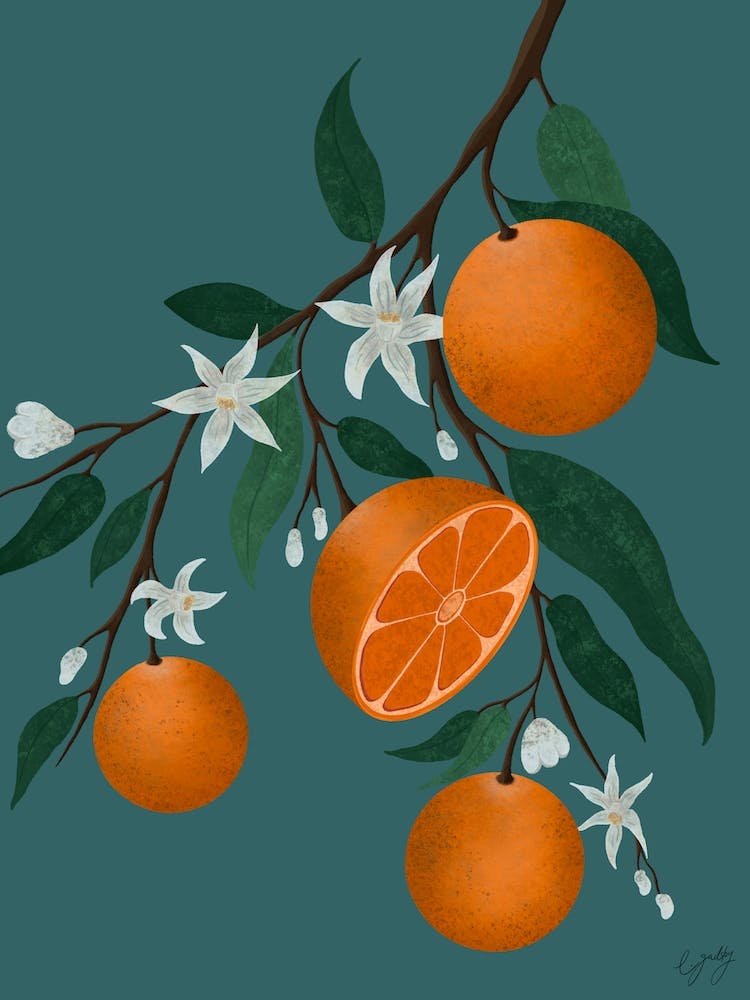 Orange Blossom