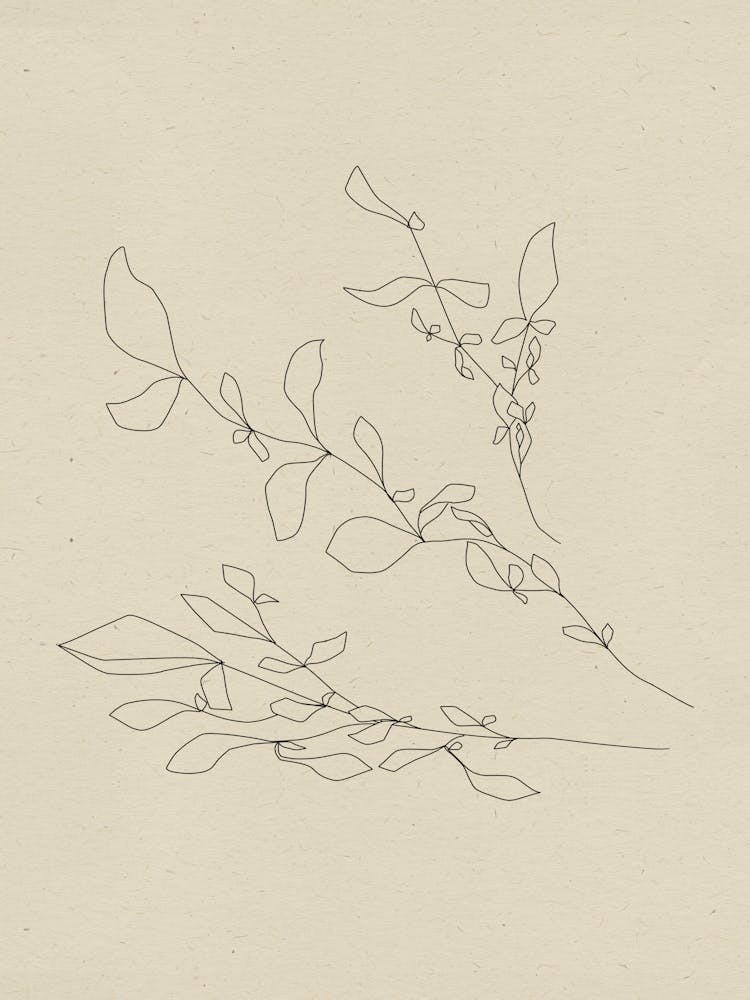 Vie Simple No 30