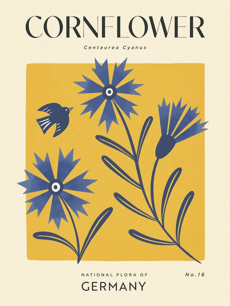 Vintage Yellow And Blue Cornflower Of Germany 1