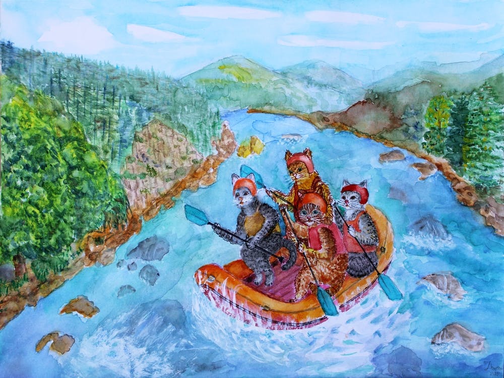 Cats Have Fun Summer Rafting On A Mountain River Four Cats In A Boat