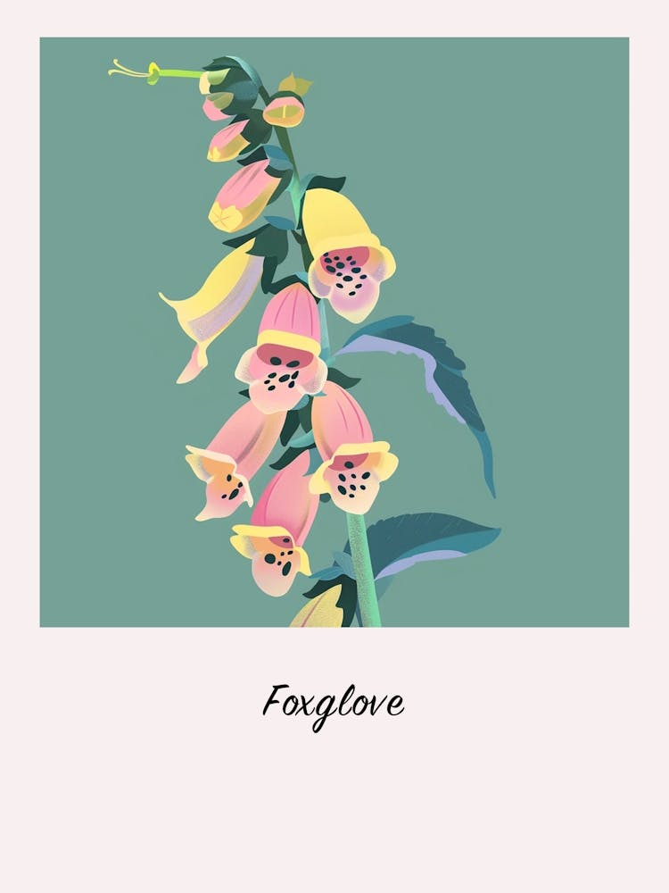 Foxglove Square Flower Illustration Poster