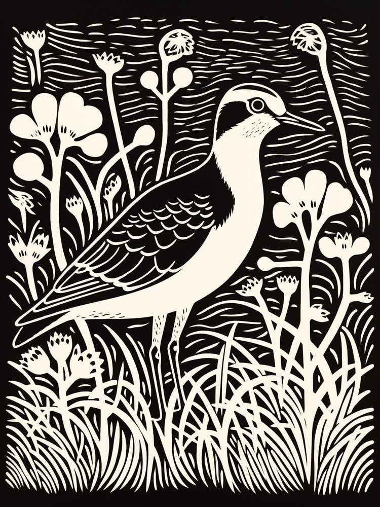 B&W Bird Linocut Lapwing 3