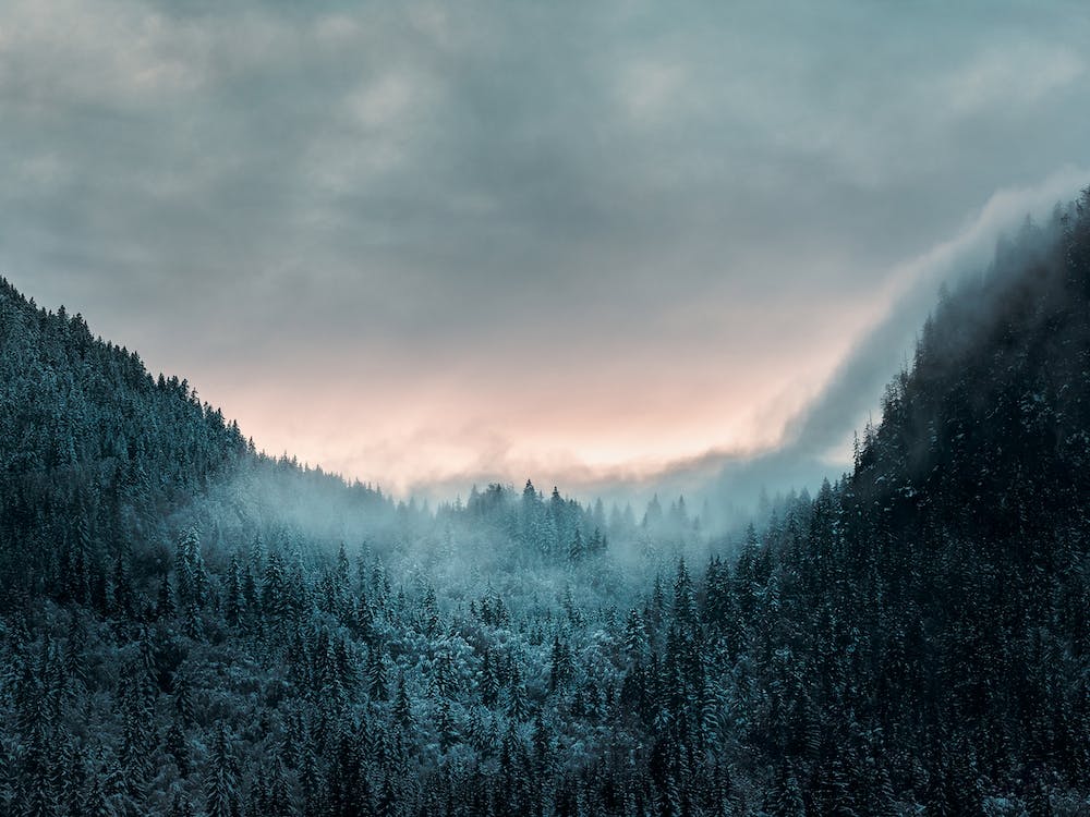 Near St Jean D'Aulps 3