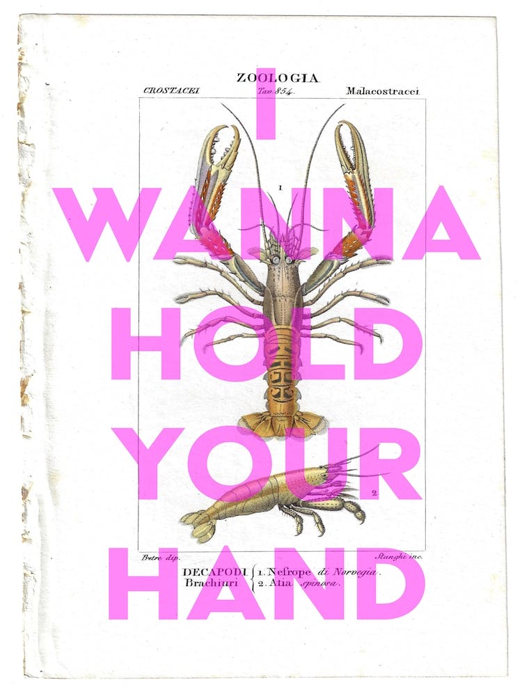 I Wanna Hold Your Hand Vintage Prawn