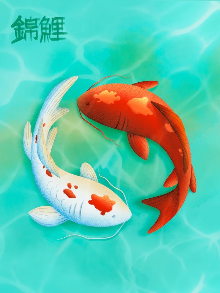 Koi-Fisch Japanische Kunst