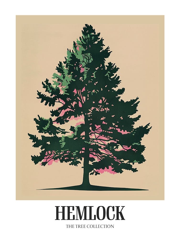 Hemlock Tree Colourful Illustration 3 Poster