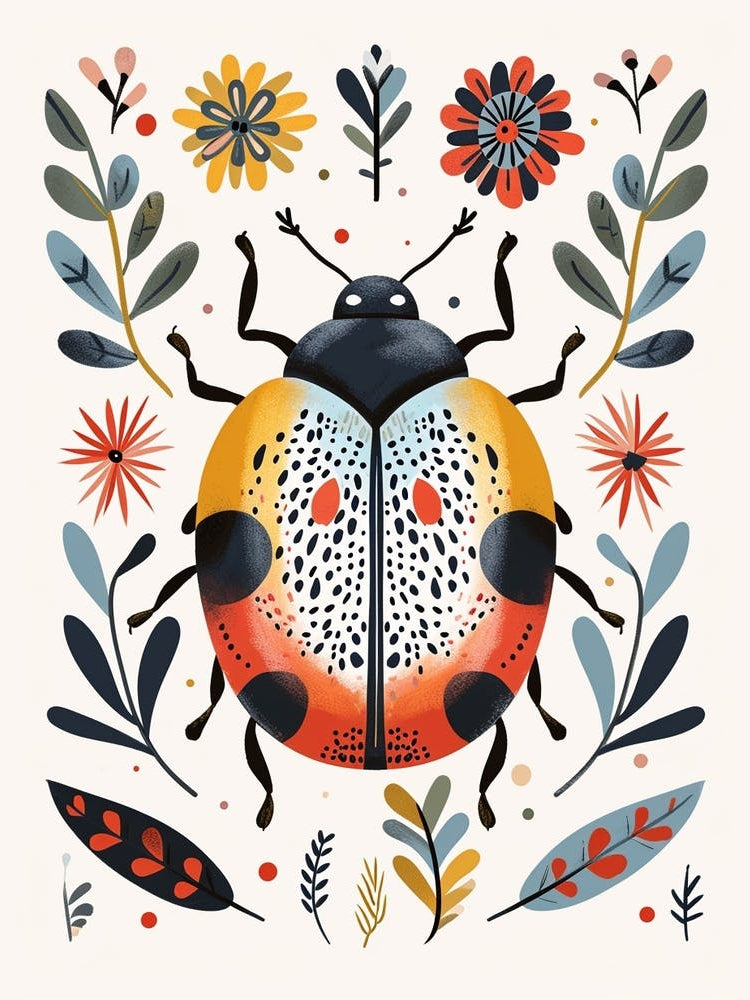 Colourful Insect Illustration Ladybug 15