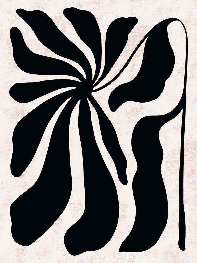 Symbiosis