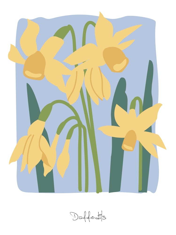 Daffodils Floral
