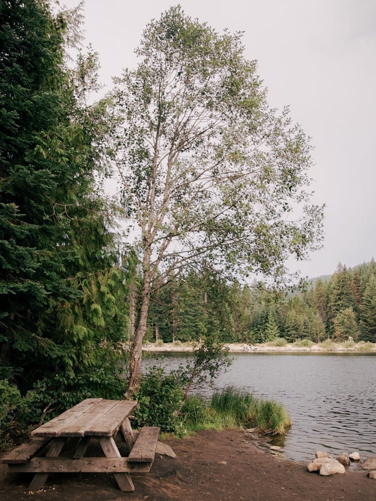 Picknicksee