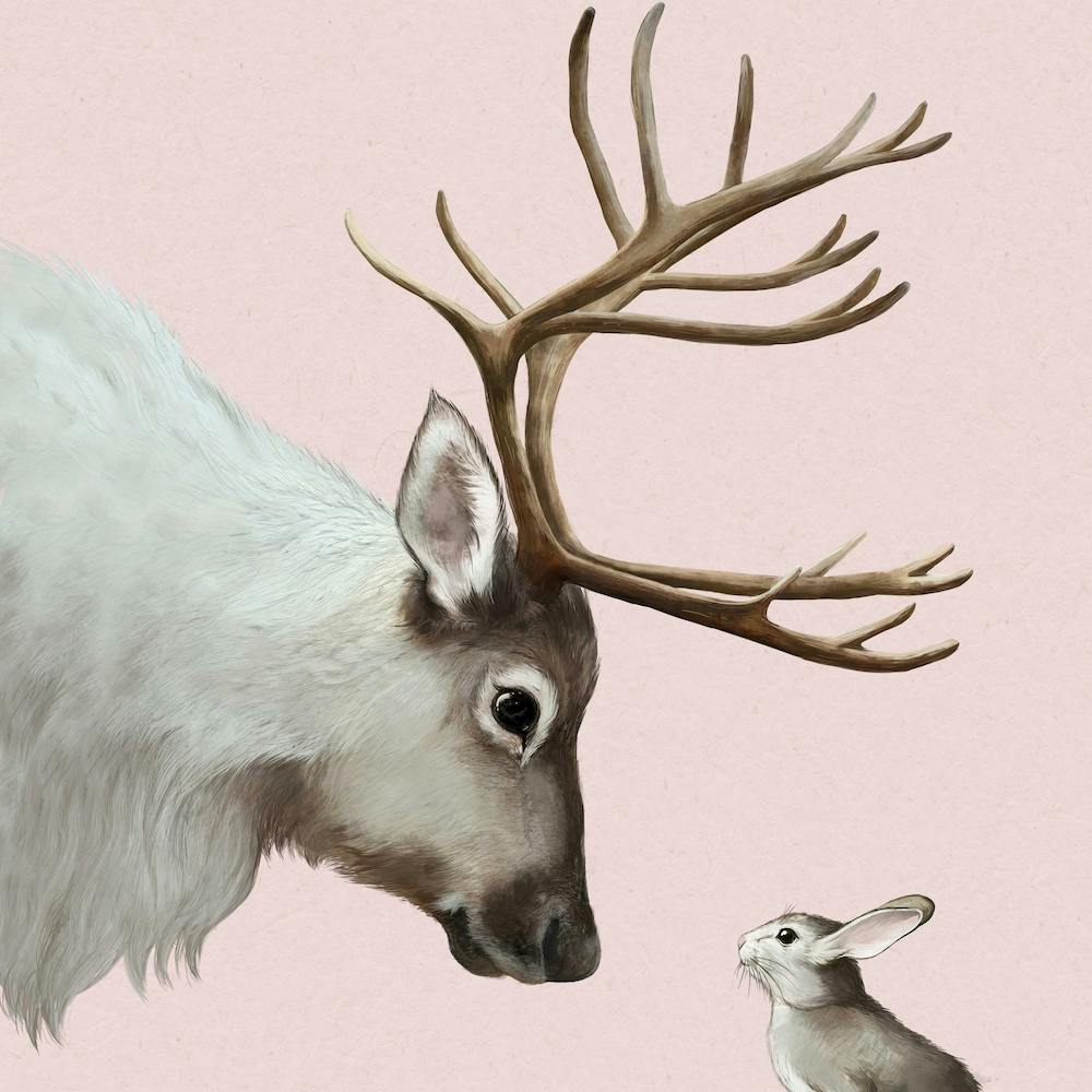 Rabbit And Reindeer