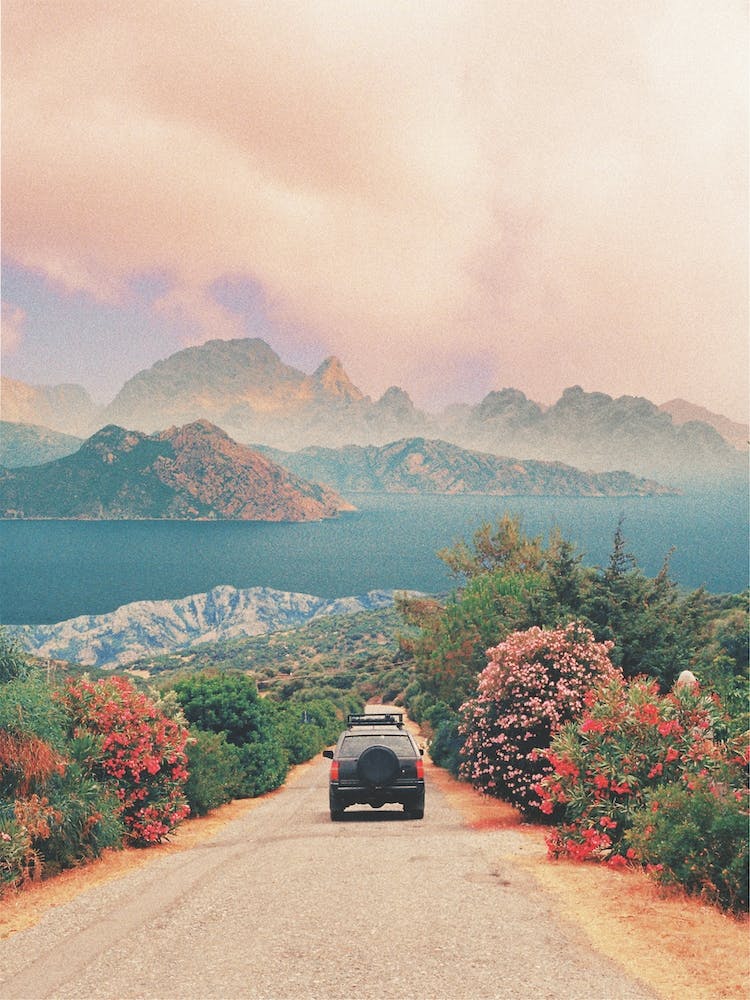Jeep On The Road With Flowers And Seascape