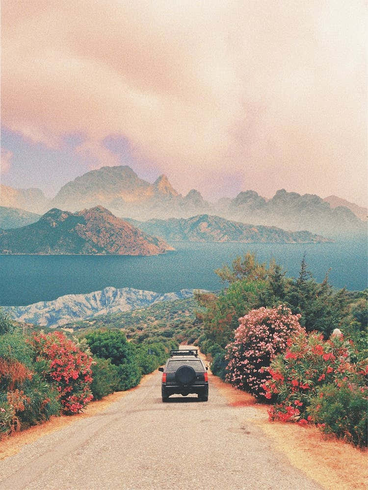 Jeep On The Road With Flowers And Seascape