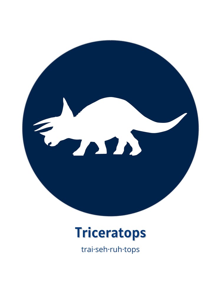 Dinosaur Triceratops Blue Nursery