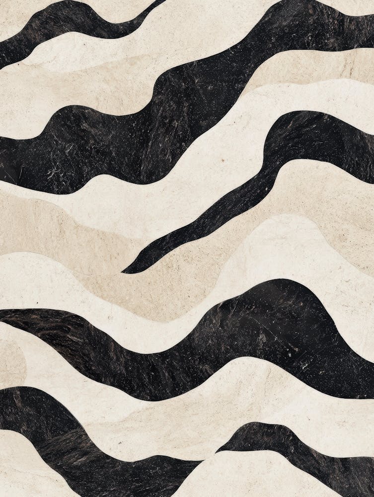 Black And White Zebra