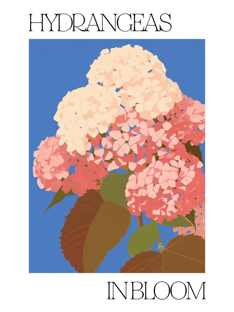 Hydrangeas In Bloom Flowers Bold Illustration 2