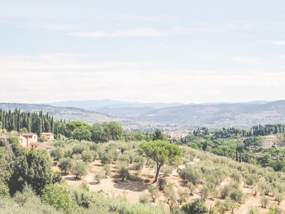 Florence, Italy I Vue panoramique de la nature et des montagnes de la campagne toscane en photographie d'art pour la dolce vita dans un paysage naturel d'esthétique rétro vintage aux couleurs pastel vertes de l'été