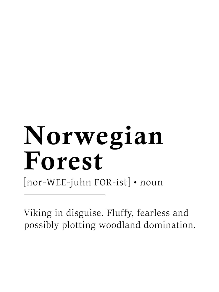 Norwegische Waldkatze Definitions-Poster - Wörterbuch