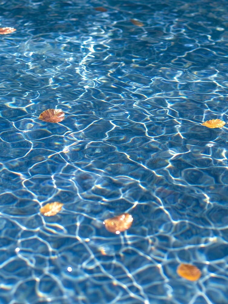 Herbstblätter in einem Pool