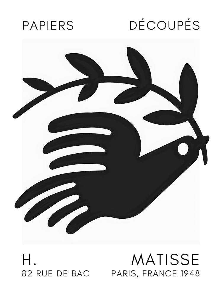 Dove By Matisse