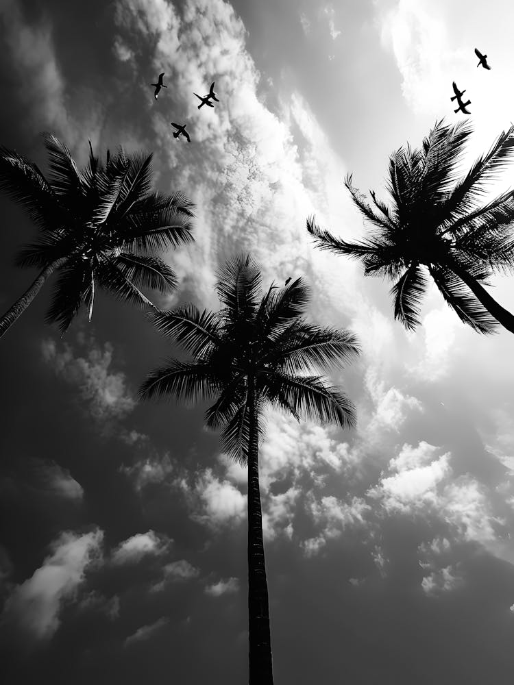Palm Trees In The Sky 4