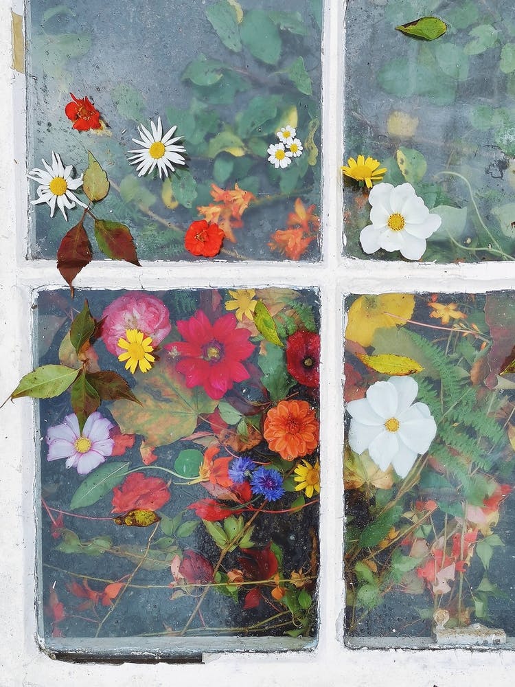 A Window Into Autumn