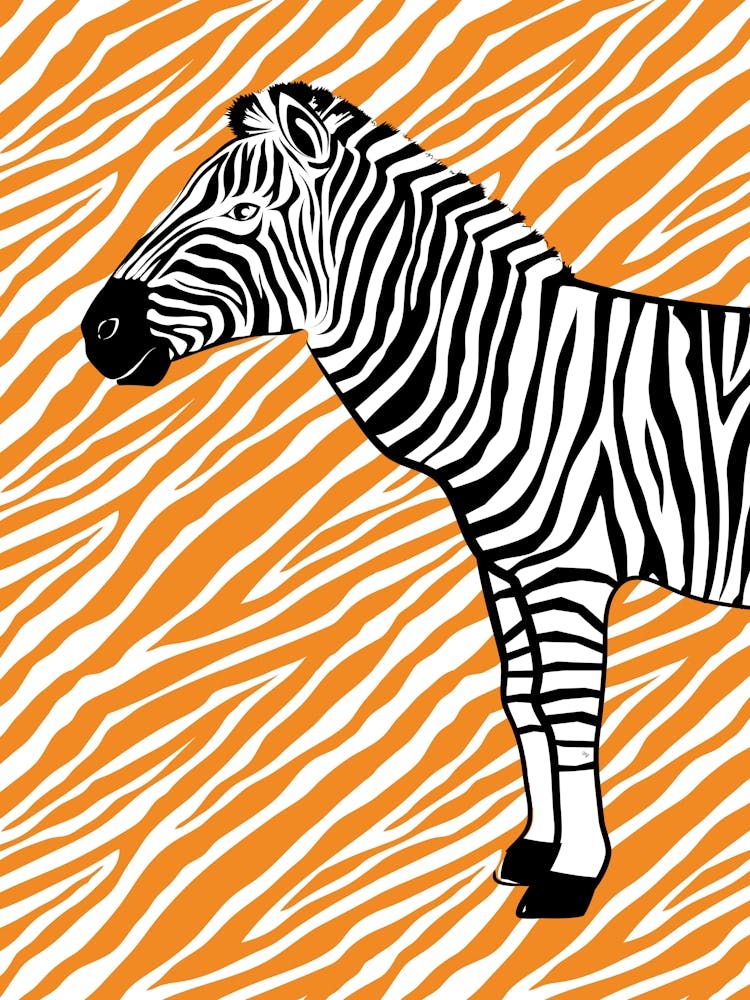 Cute Orange Zebra