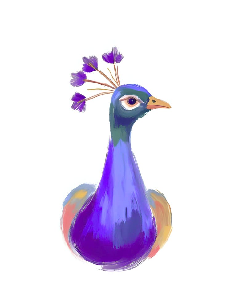 Peacock 23