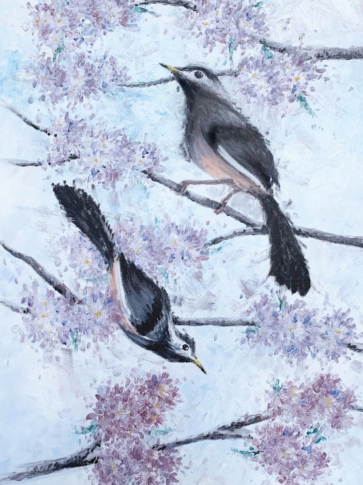 Birds And Blossoms