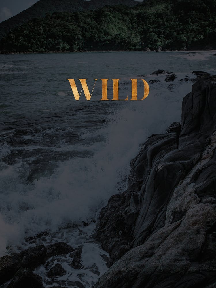 Wild