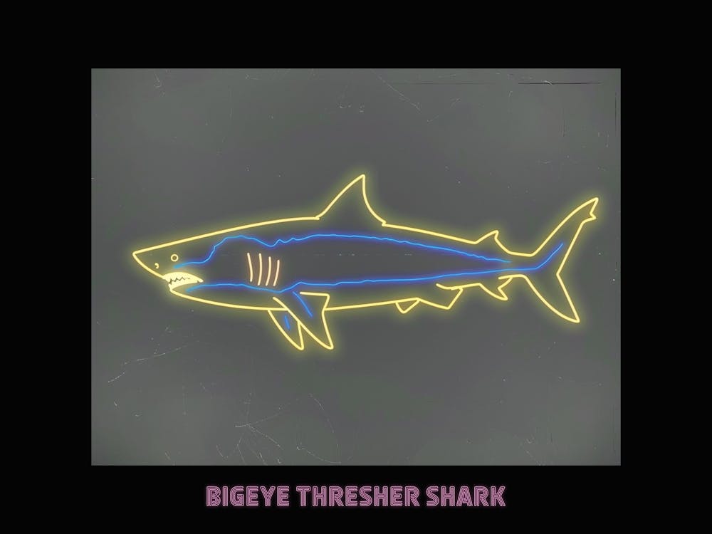 Neon Pink Bigeye Thresher Shark Poster 2